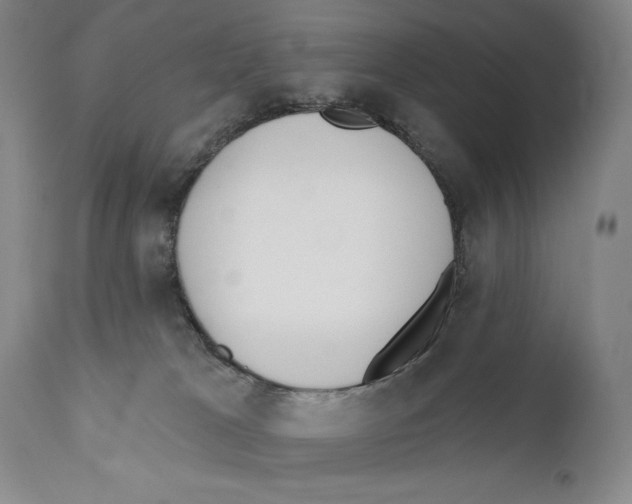 X0000110740037200907131131