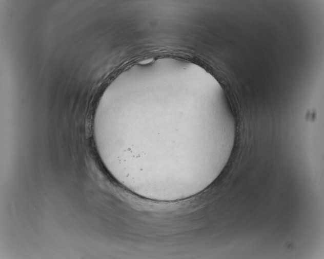 X0000110740039200907131131