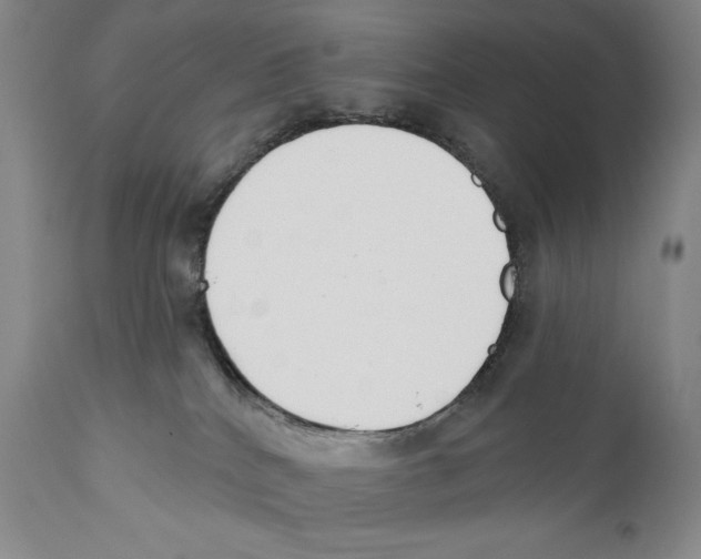 X0000110740040200907131131