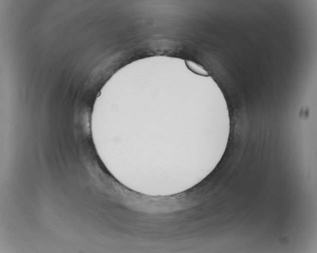 X0000110740042200907131131