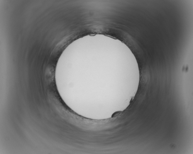 X0000110740043200907131131