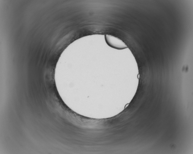 X0000110740044200907131131