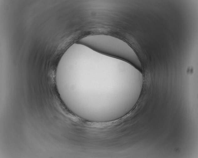 X0000110740045200907131131