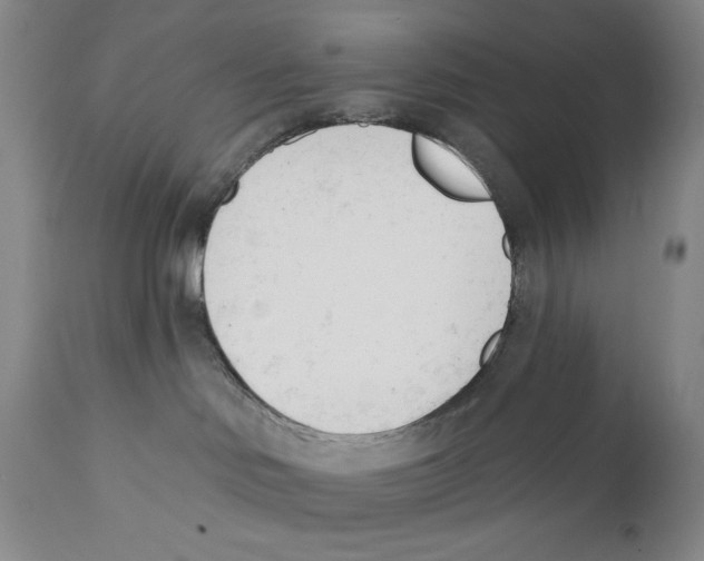 X0000110740046200907131131