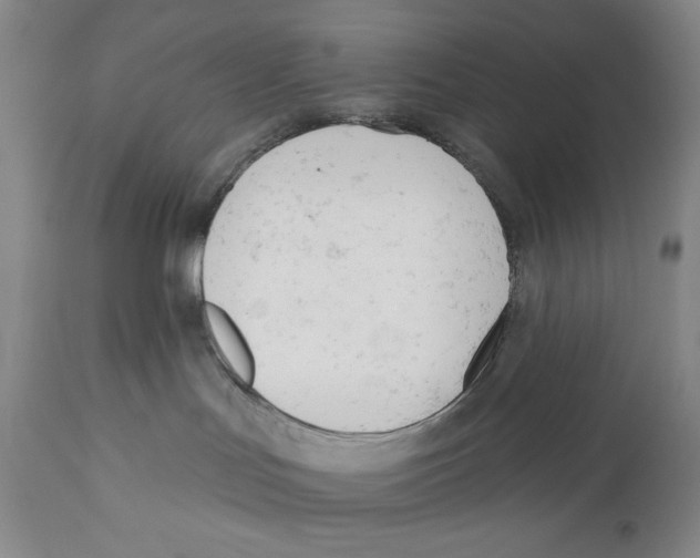 X0000110740047200907131131