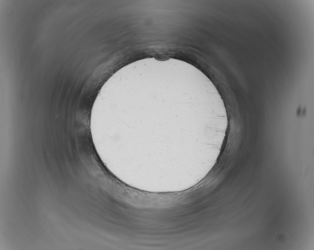 X0000110740048200907131131