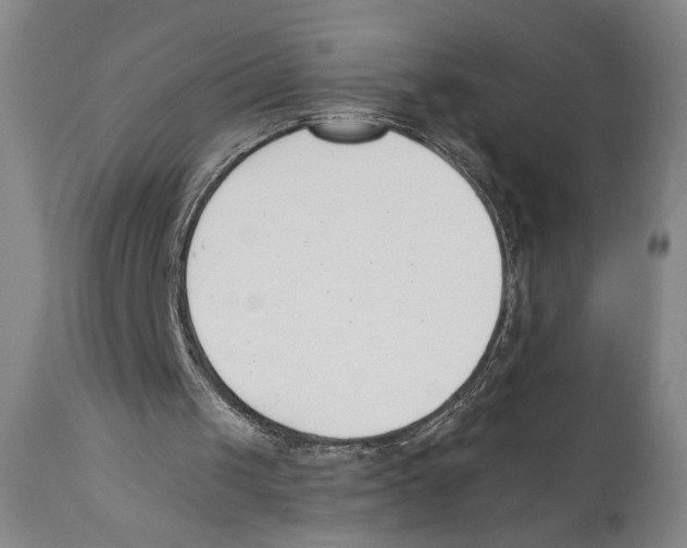 X0000110740049200907131130