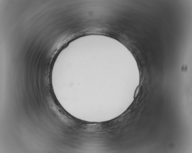 X0000110740050200907131130