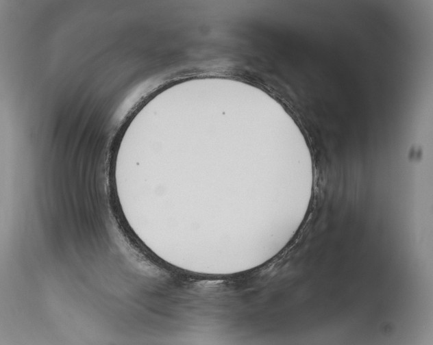X0000110740054200907131130