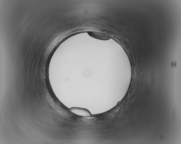 X0000110740055200907131130