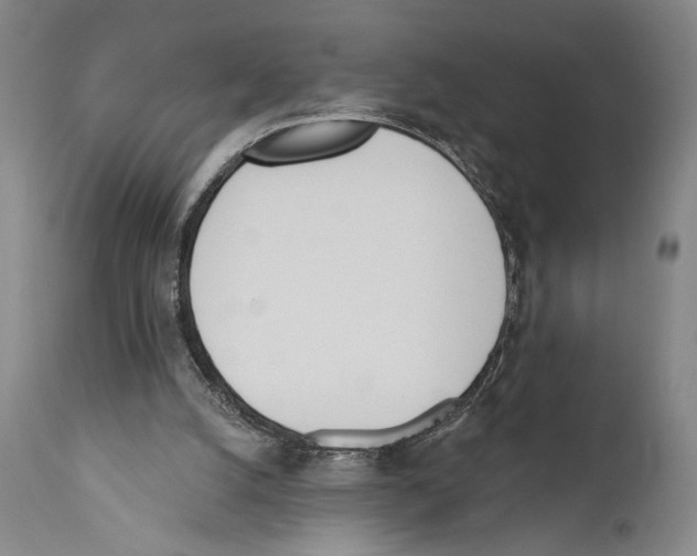 X0000110740056200907131130