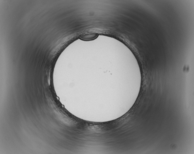 X0000110740062200907131130