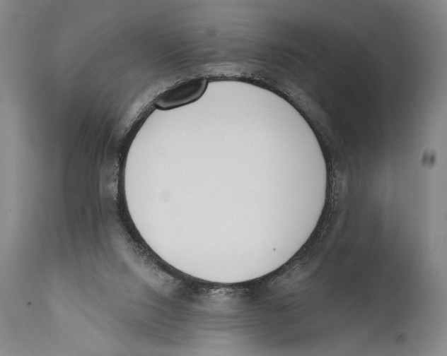 X0000110740064200907131130