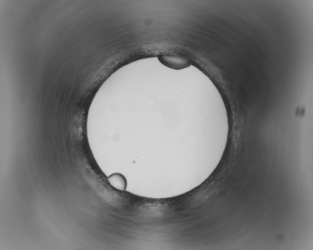 X0000110740065200907131130