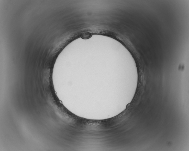 X0000110740066200907131130