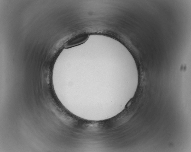 X0000110740068200907131130
