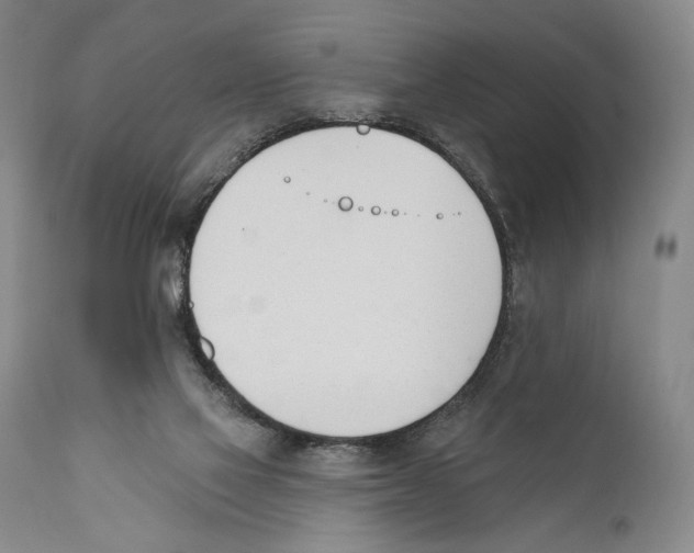 X0000110740069200907131130