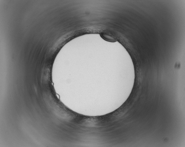 X0000110740071200907131130
