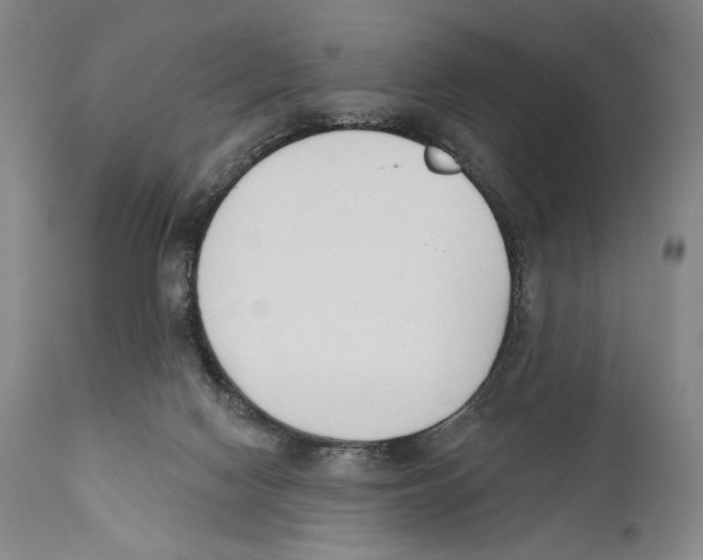 X0000110740074200907131130