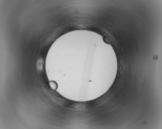 X0000110740075200907131130