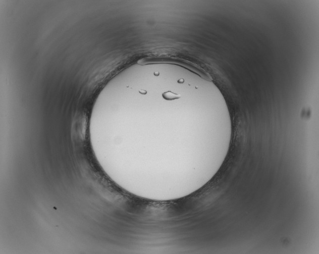 X0000110740076200907131130