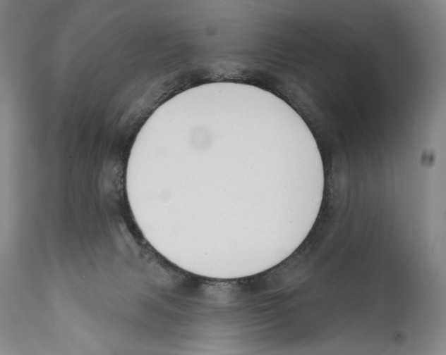 X0000110740079200907131130