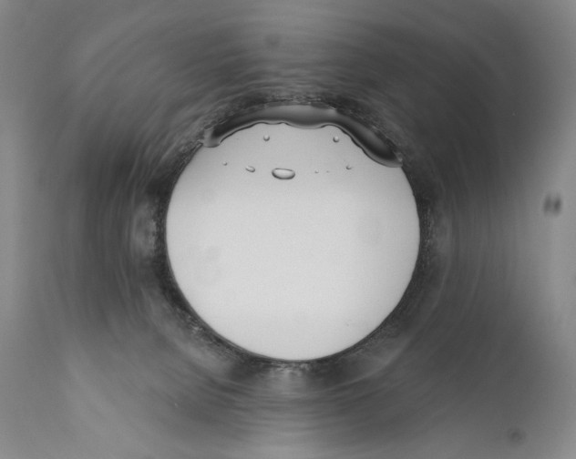 X0000110740080200907131130
