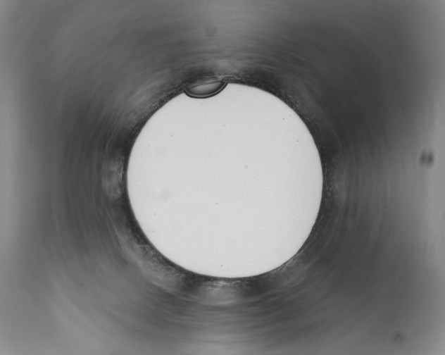 X0000110740082200907131130