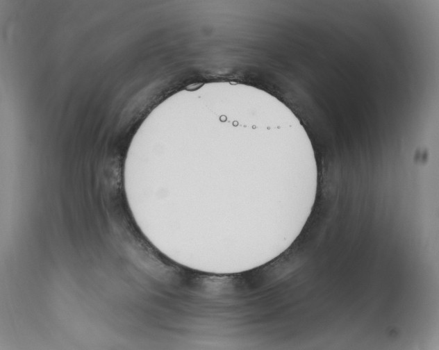 X0000110740085200907131130