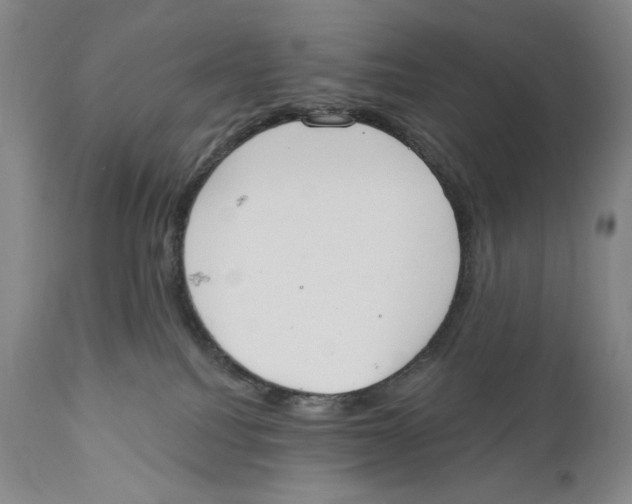 X0000110740088200907131131