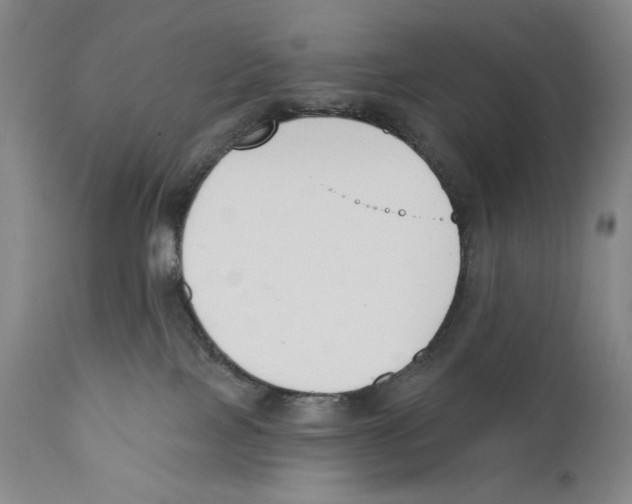 X0000110740089200907131131