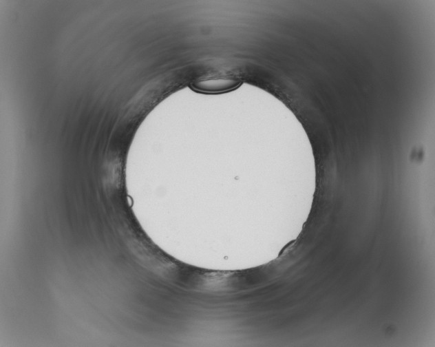 X0000110740090200907131131