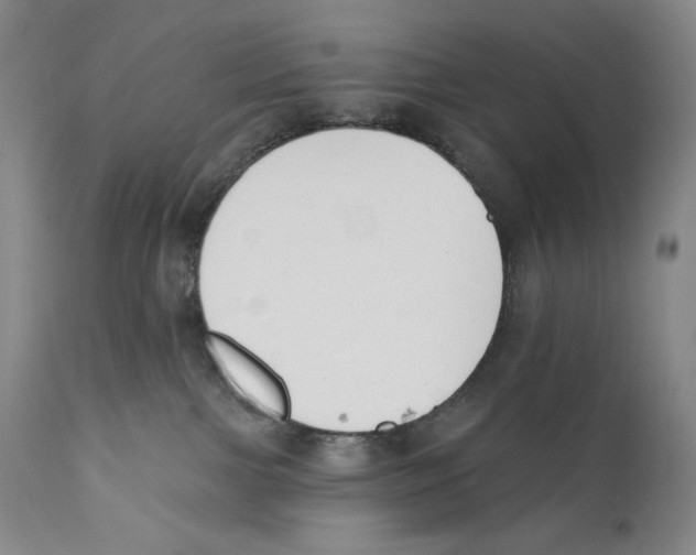 X0000110740091200907131131