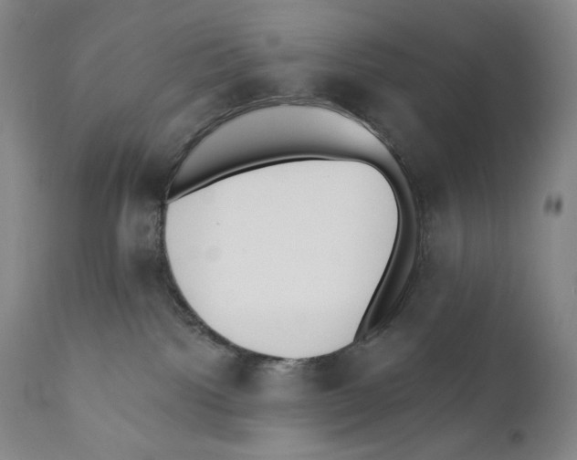 X0000110740092200907131131