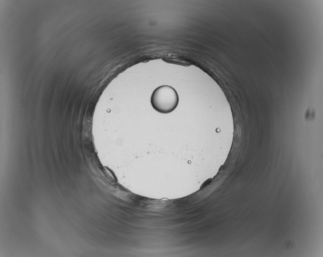 X0000110740096200907131131