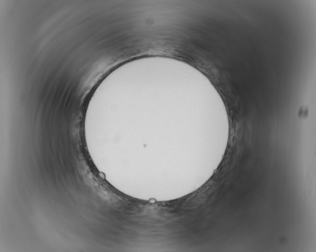 X0000110740098200907131130