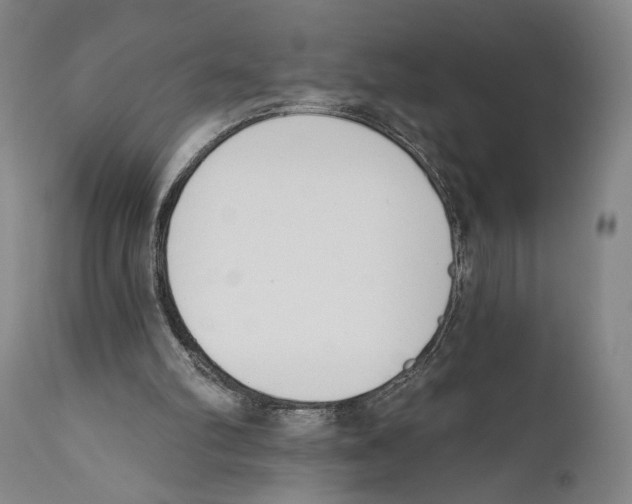 X0000110740102200907131130