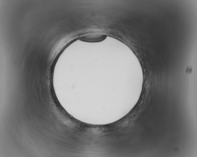 X0000110740103200907131130