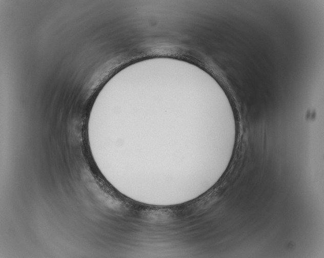 X0000110740106200907131130
