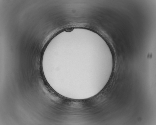 X0000110740107200907131130