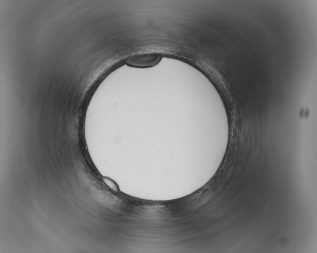 X0000110740108200907131130