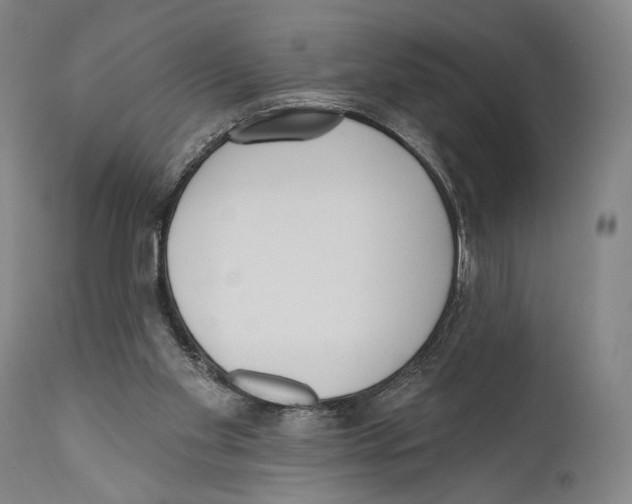 X0000110740109200907131130