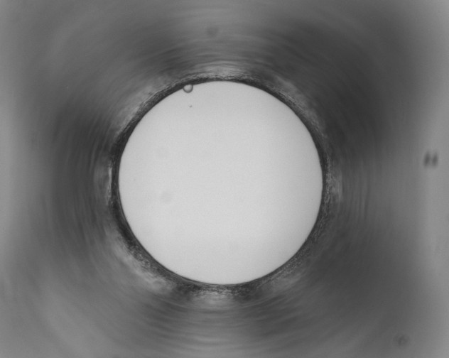 X0000110740110200907131130