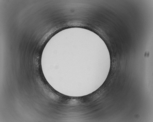 X0000110740111200907131130