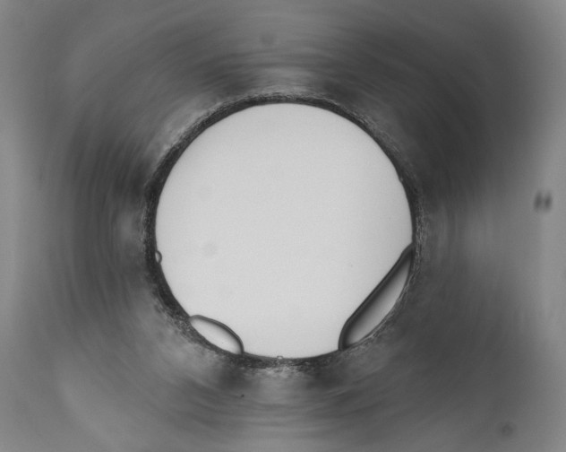 X0000110740112200907131130