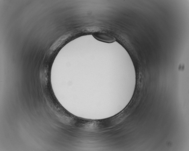 X0000110740116200907131130
