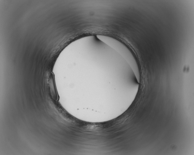 X0000110740117200907131130