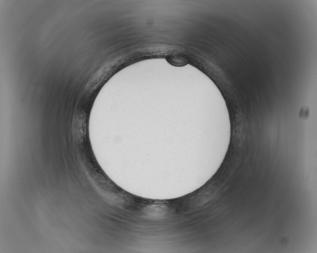 X0000110740119200907131130