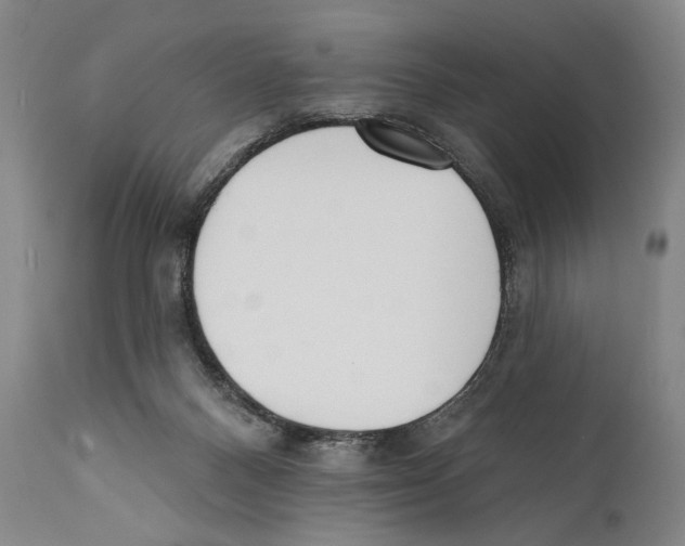 X0000110740120200907131129