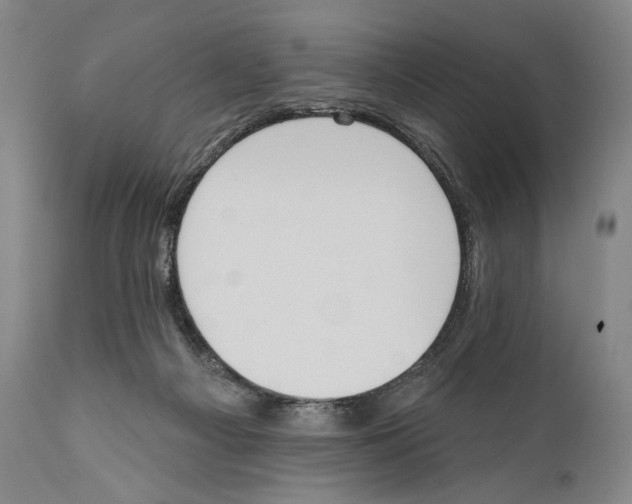 X0000110740121200907131129